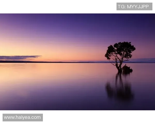 震撼呈现全球星足球壁纸高清视觉盛宴点燃无限激情梦想 震撼呈现全球星足球壁纸高清视觉盛宴点燃无限激情梦想